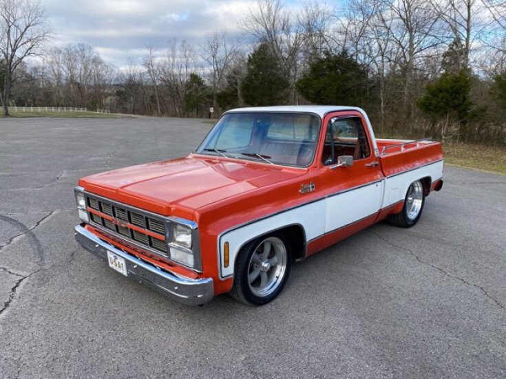 Thumbnail Photo undefined for 1980 GMC Pickup